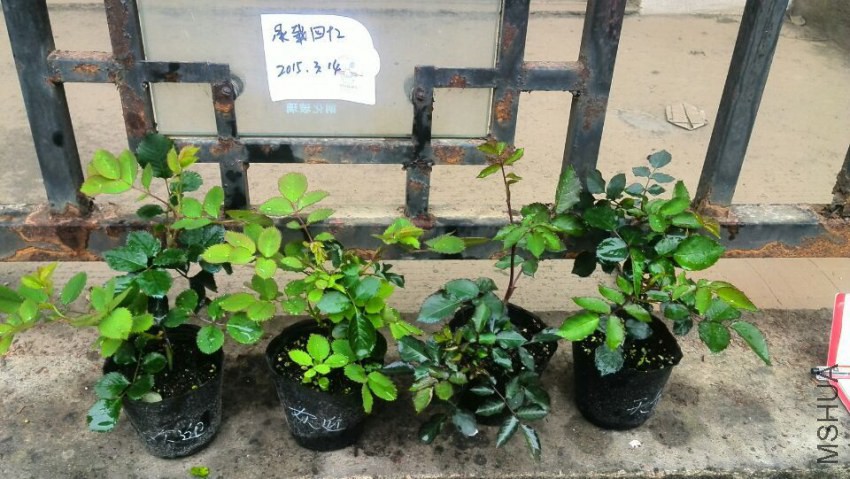 QQͼƬ20150314121009.jpg