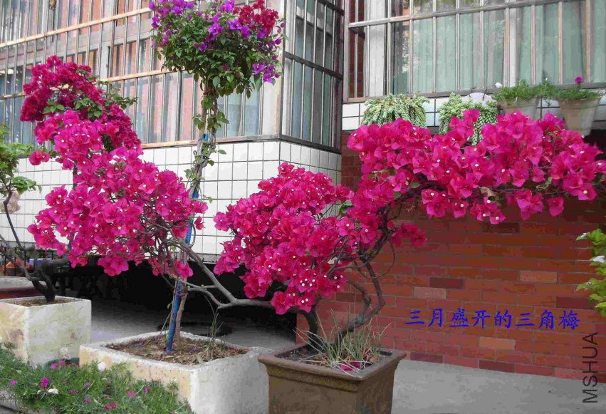 DSCN6842.JPG