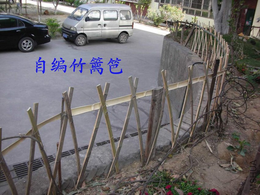 DSCN6846.JPG