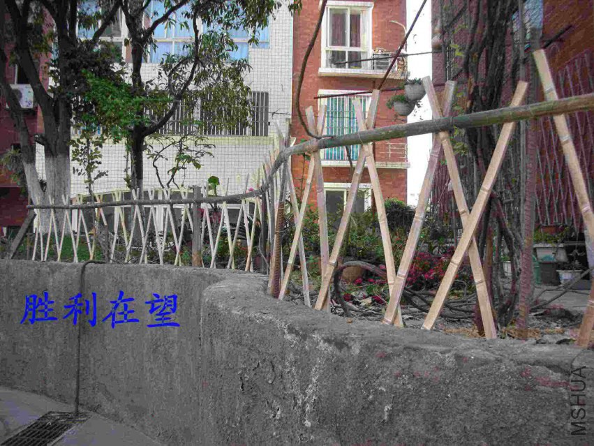 DSCN6848.JPG