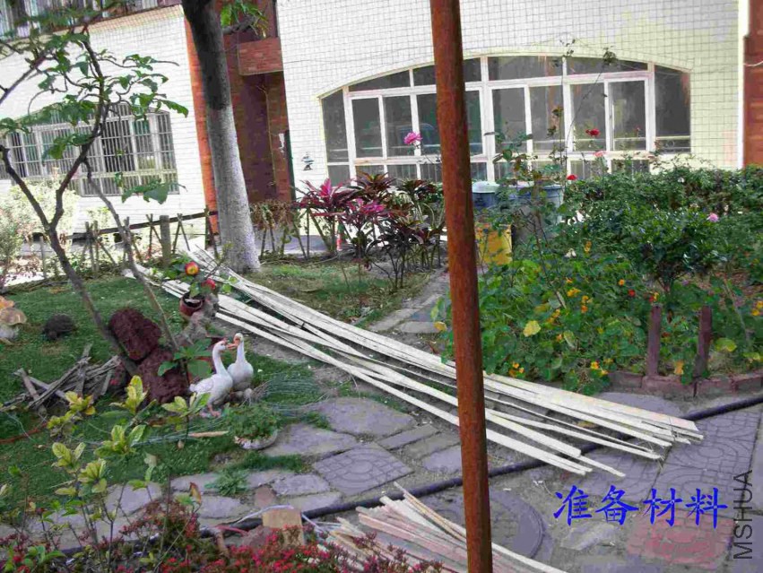 DSCN6847.JPG