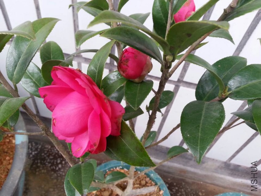1--1.jpg