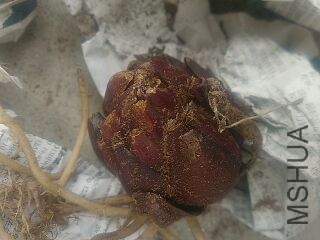 UC_Photo_050.jpg