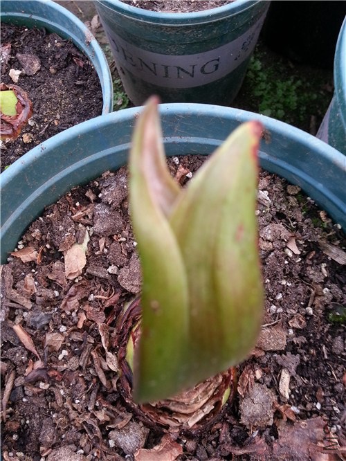 20150314_164459.jpg