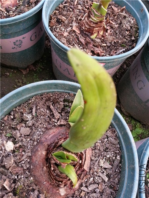 20150314_164509.jpg
