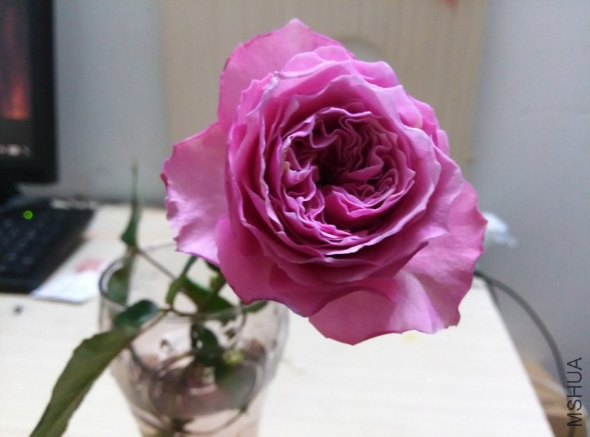 IMG_20150305_212402 (����).jpg