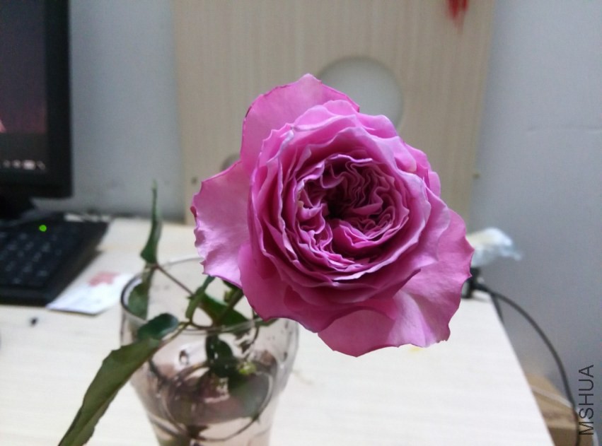 IMG_20150305_212408 (����).jpg