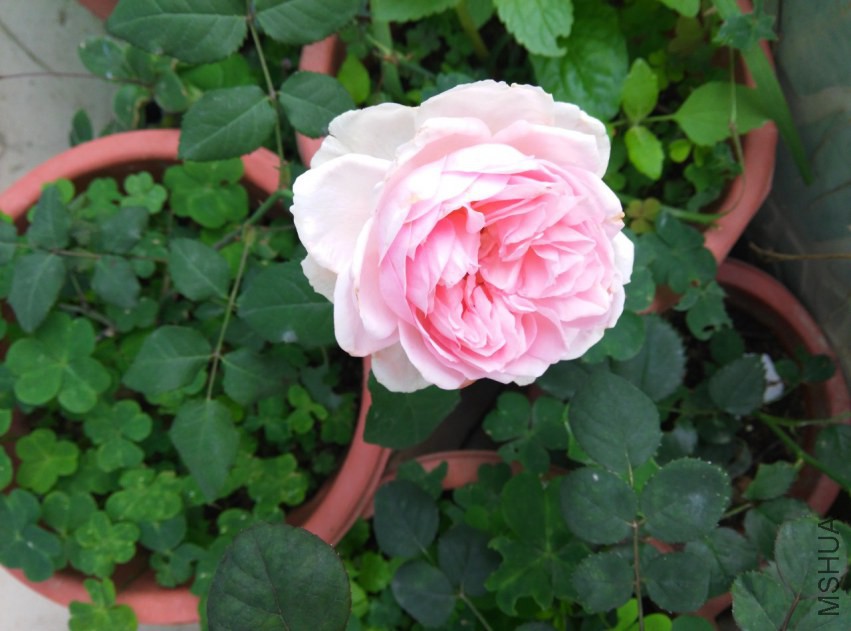 IMG_20150314_092502 (����).jpg