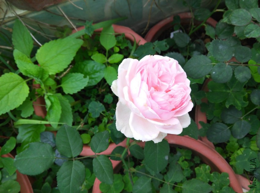 IMG_20150314_092450 (����).jpg