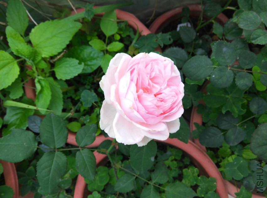 IMG_20150314_092454 (����).jpg