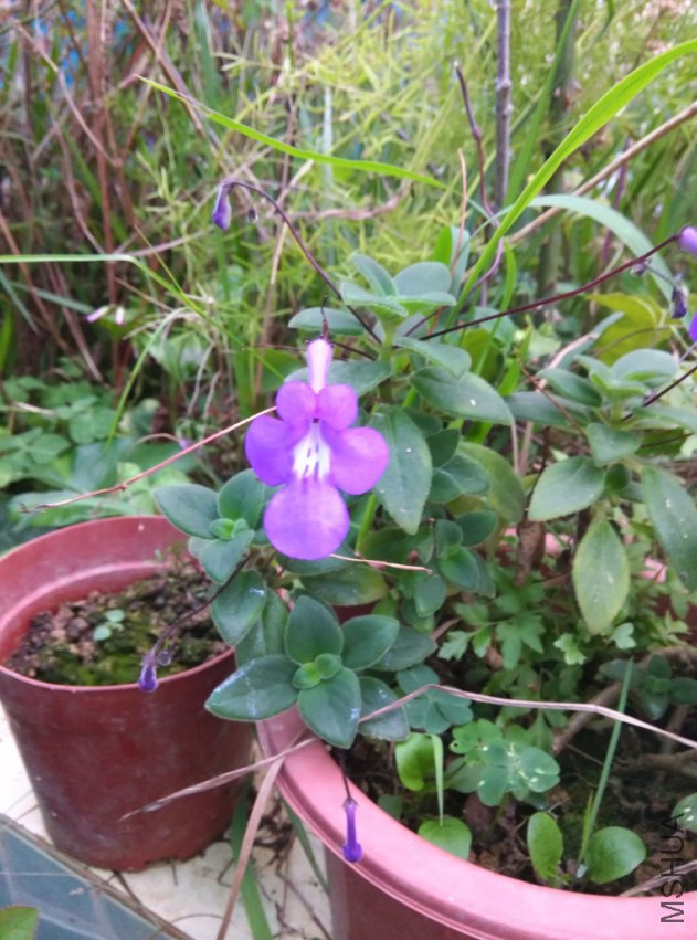 IMG_20150314_180142 (����).jpg