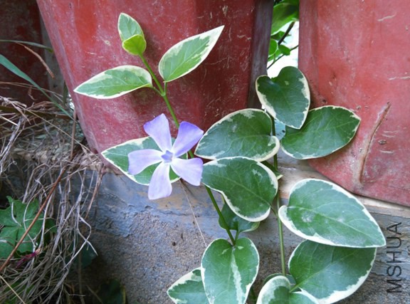 IMG_20150225_101706 (����).jpg