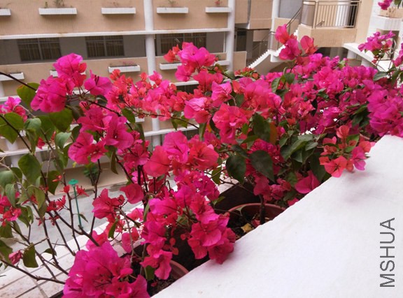 IMG_20150226_102804 (����).jpg