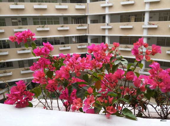 IMG_20150226_102614 (����).jpg