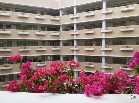 IMG_20150226_102623 (����).jpg