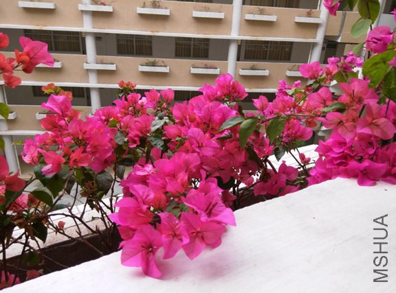 IMG_20150226_102631 (����).jpg