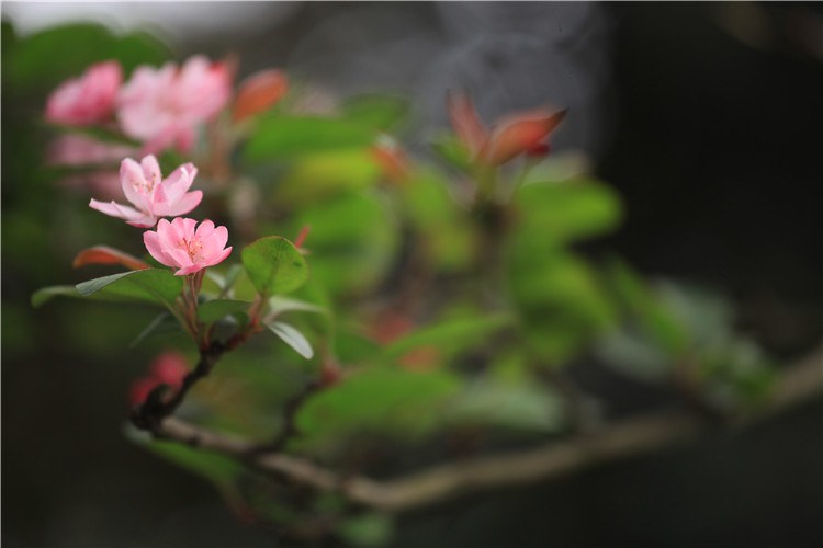 ����һ�������ֻ� (10).JPG