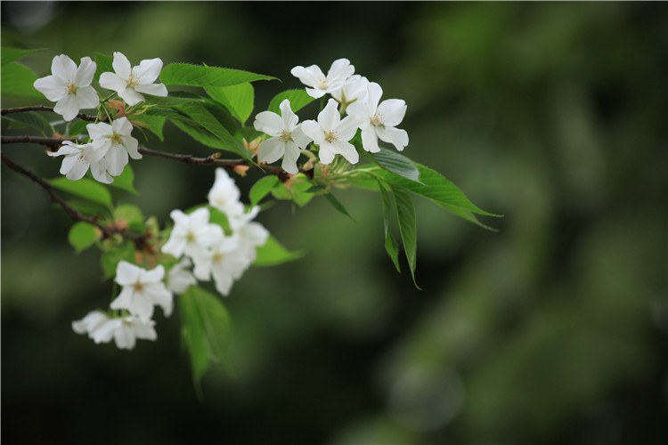 ����һ�������ֻ� (12).JPG