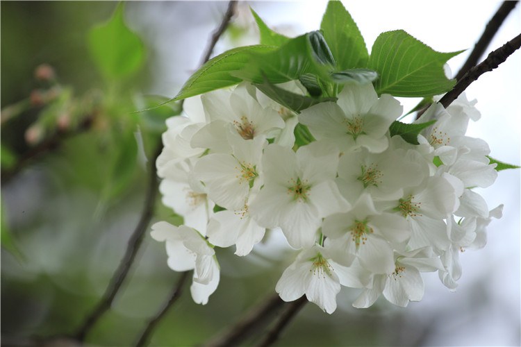 ����һ�������ֻ� (13).JPG