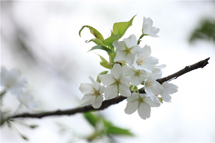 ����һ�������ֻ� (14).JPG