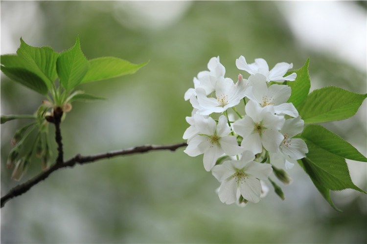 ����һ�������ֻ� (15).JPG