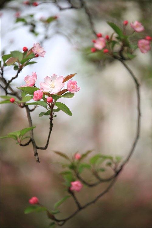 ����һ�������ֻ� (5).JPG