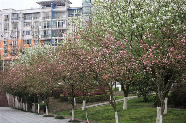 ����һ�������ֻ� (16).JPG