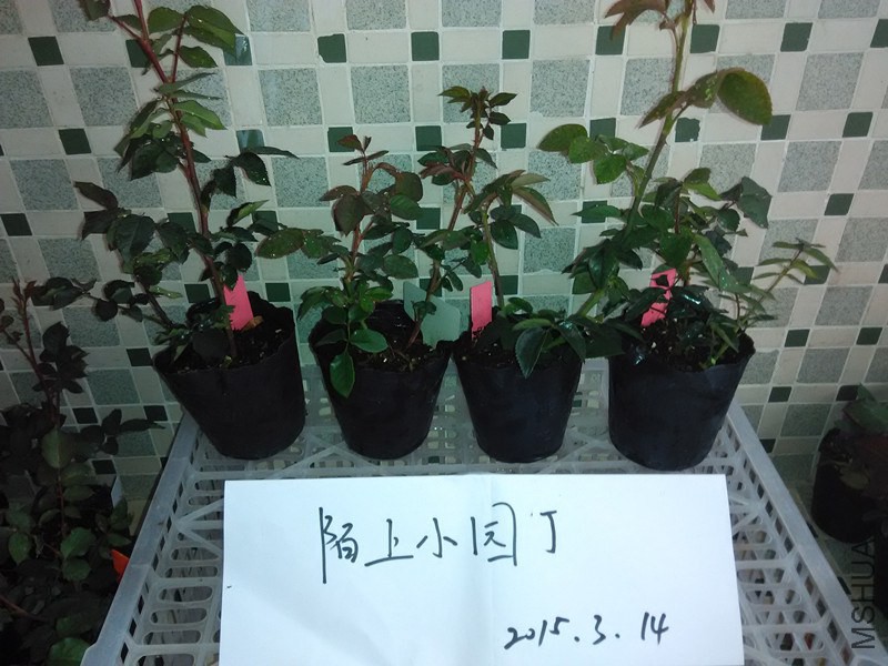 �췽ҹ̷A�����ҵ���A�췽ҹ̷A.jpg