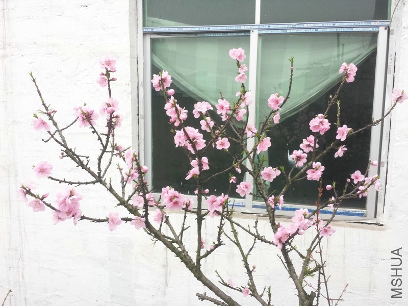 20140324_073816.jpg