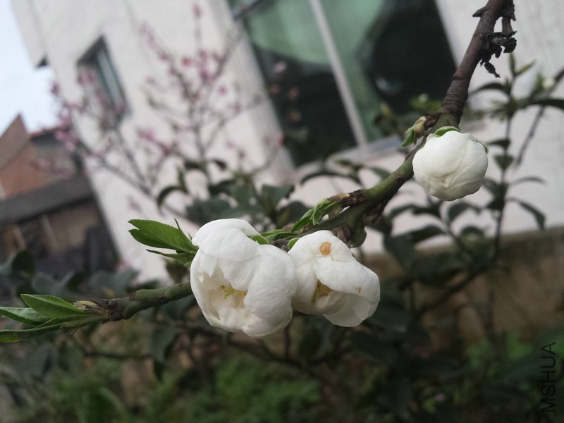 20140327_182223.jpg
