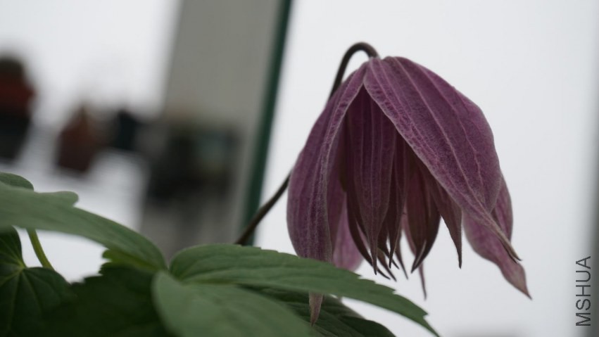 DSC02280.JPG