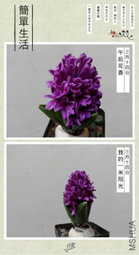 QQͼƬ20150315150233.jpg