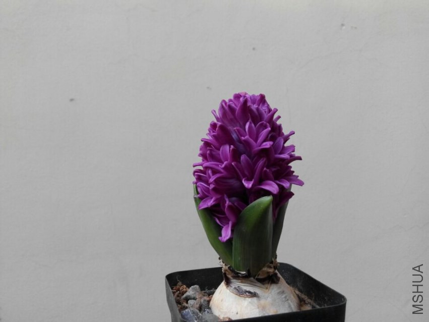 QQͼƬ20150315150240.jpg