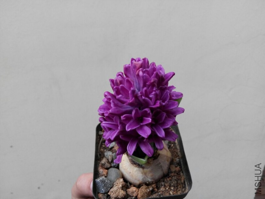 QQͼƬ20150315150246.jpg