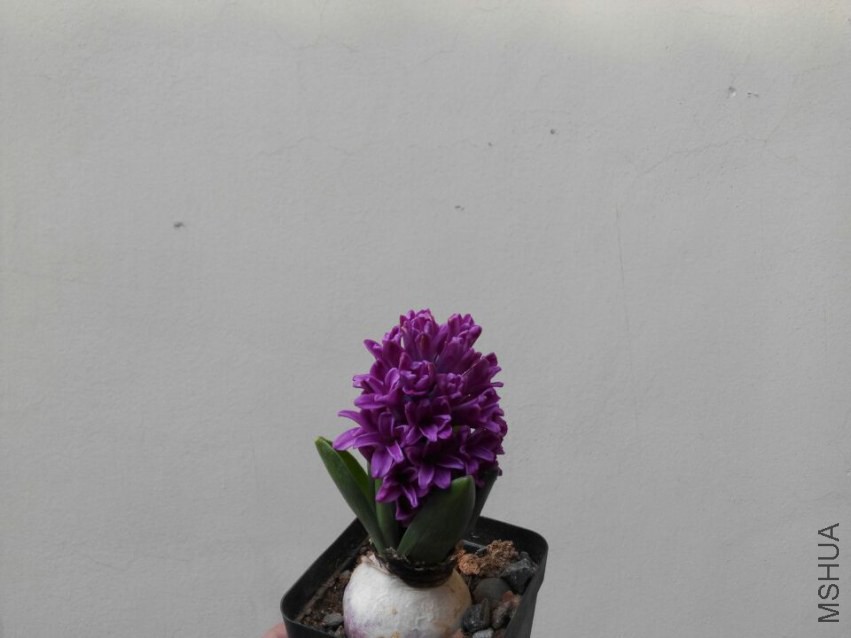 QQͼƬ20150315150258.jpg