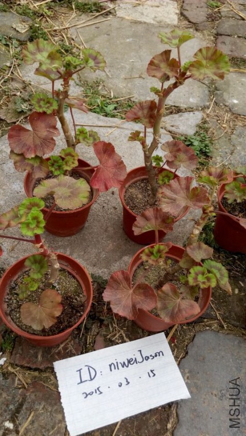 QQͼƬ20150315154043.jpg