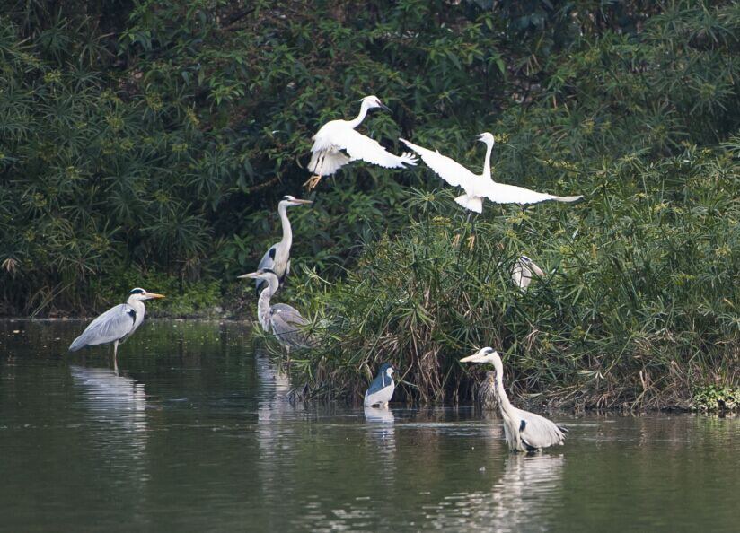 ���������Ƭ (5).jpg