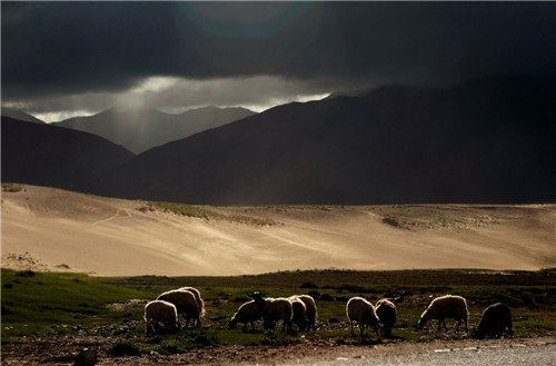 ������Ӱ (10).jpg