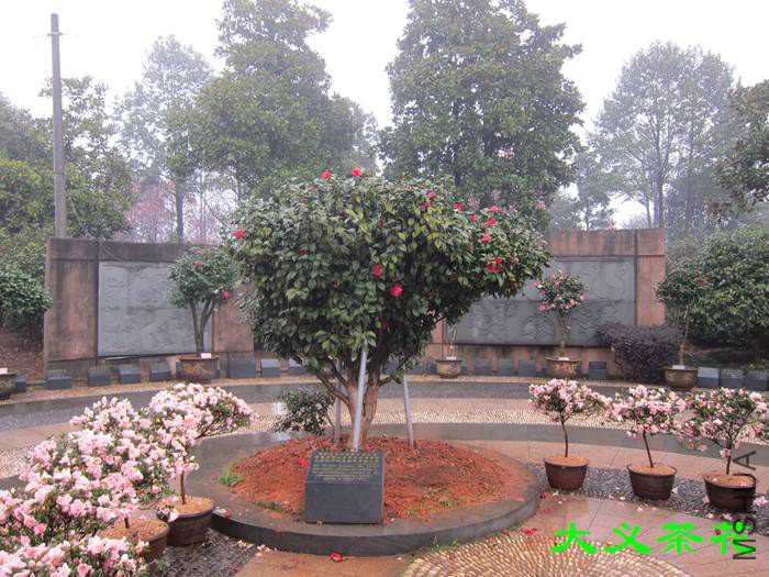 �ֳ�13.jpg