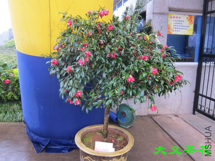 �ֳ�16.jpg