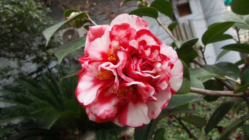 20150306_103030.jpg
