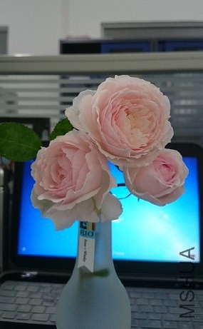 ���D����