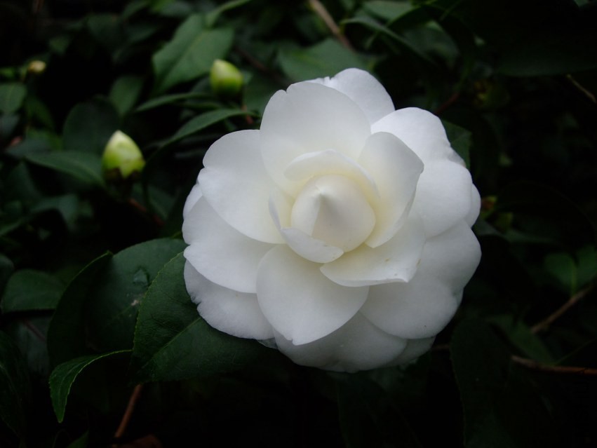 ţ���� 2015-3-16 050w.jpg