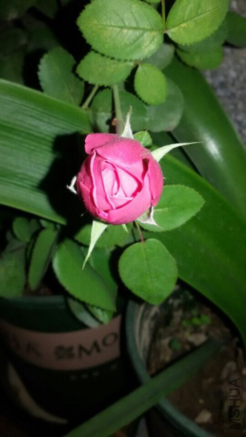 QQͼƬ20141121154404.jpg