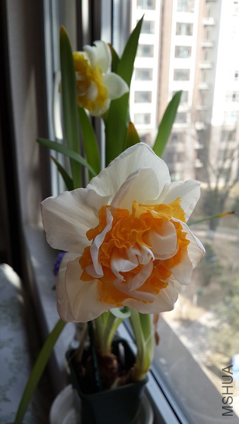 20150315_114305.jpg