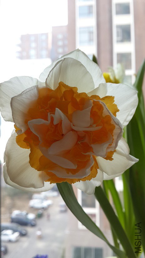 20150315_114125.jpg