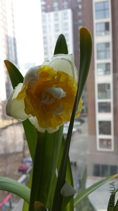 20150315_114153.jpg