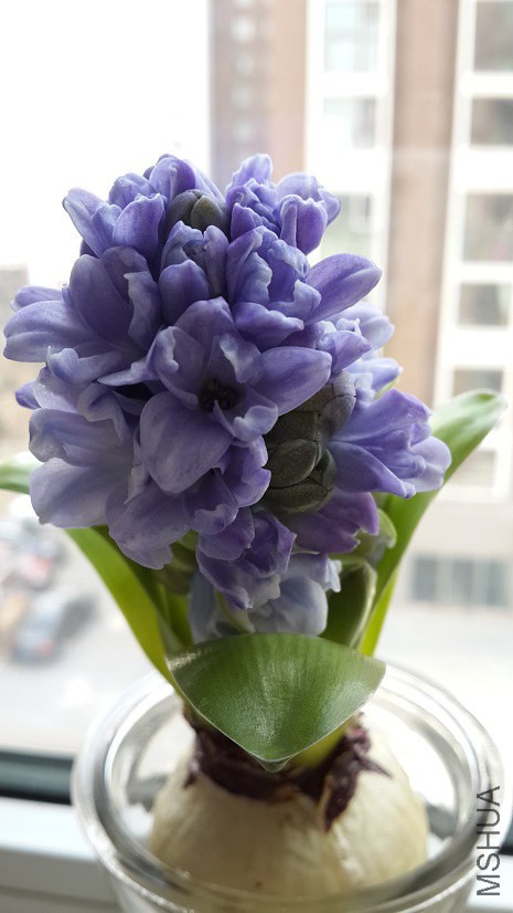 20150315_114101.jpg