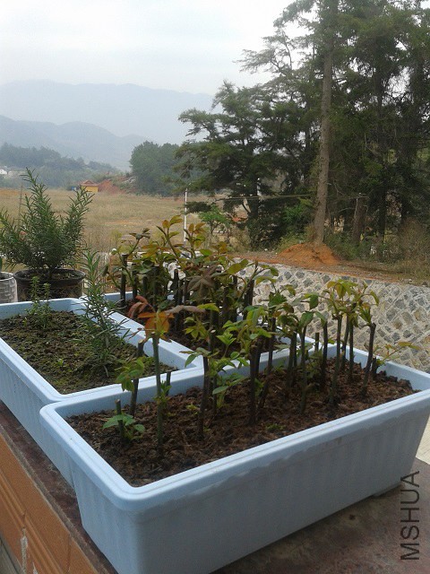 20150316_155821.jpg