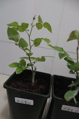 IMG_7760.jpg